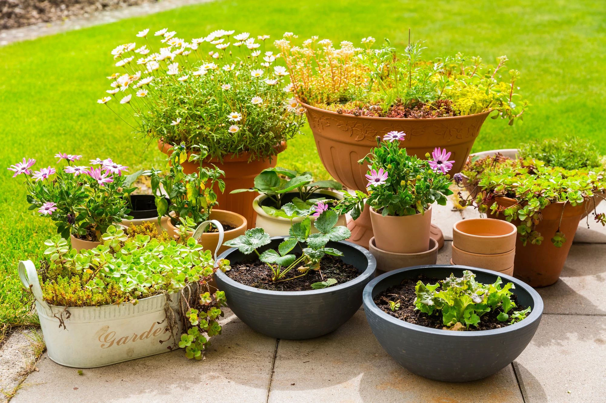 collection of outdoor planters in Jupiter
