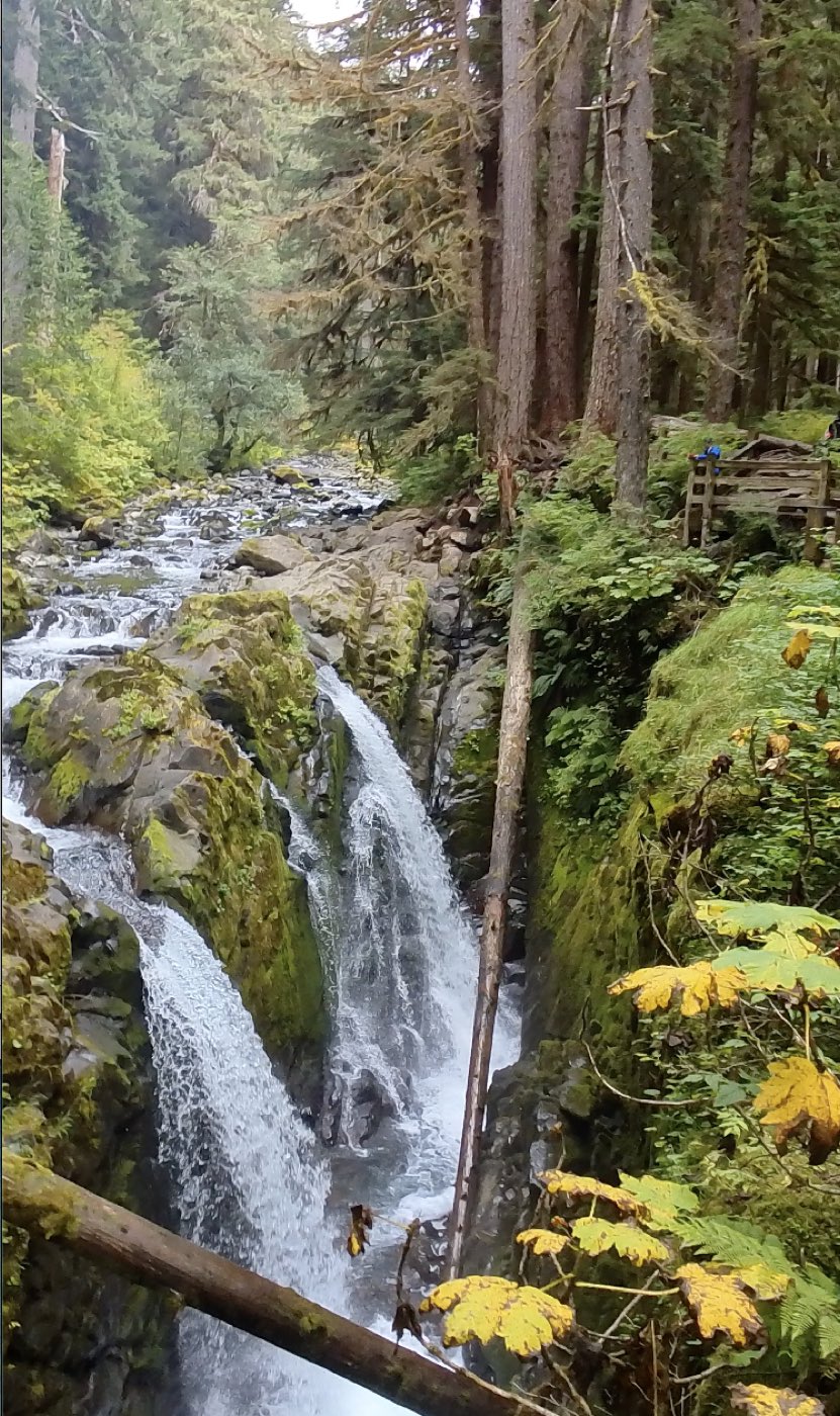 A tiered waterfall dropping through a mossy forest gorge beside a trail