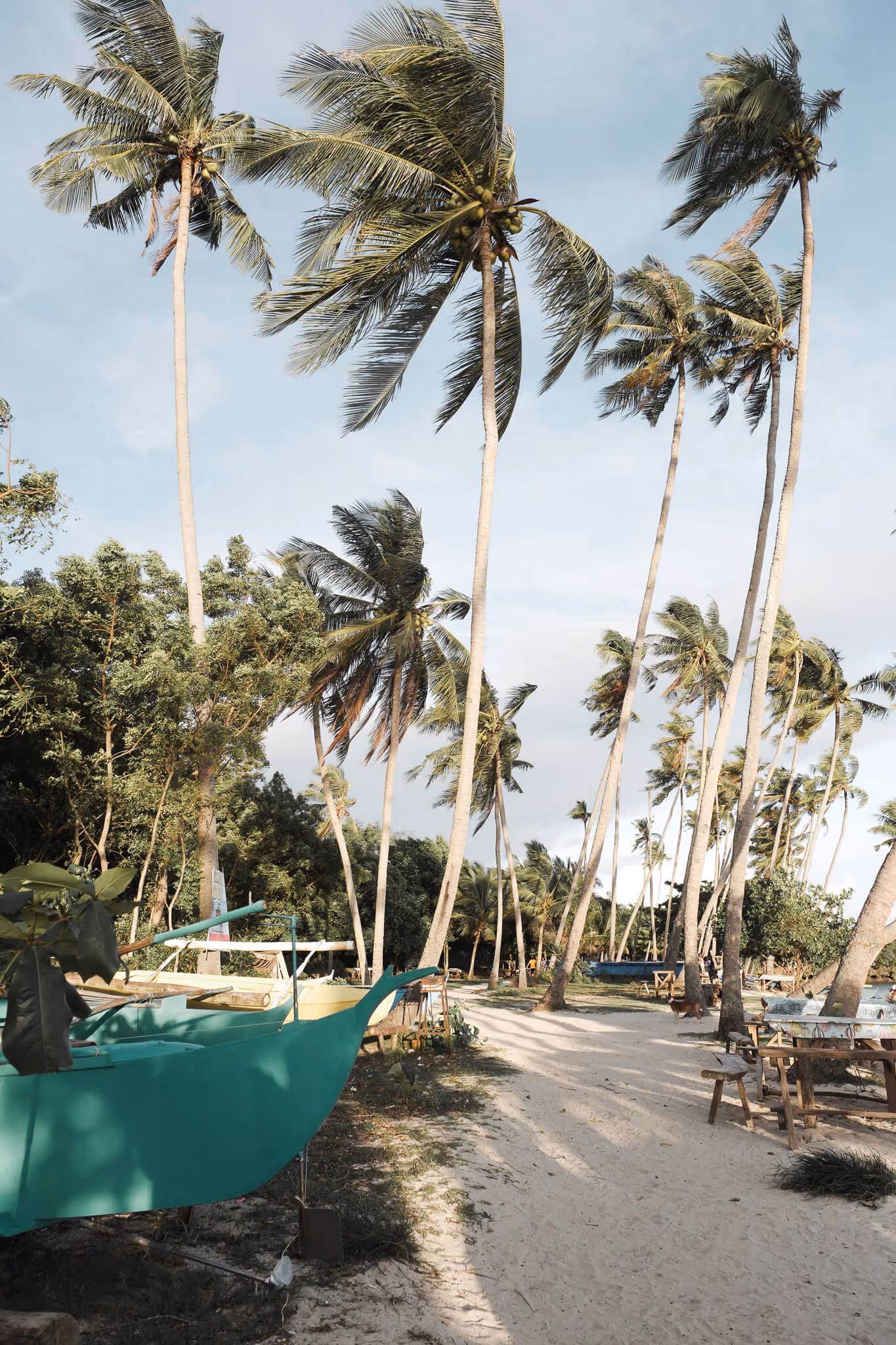 Sandy path lined with palm trees and small boats near a tropical beach at sunset.