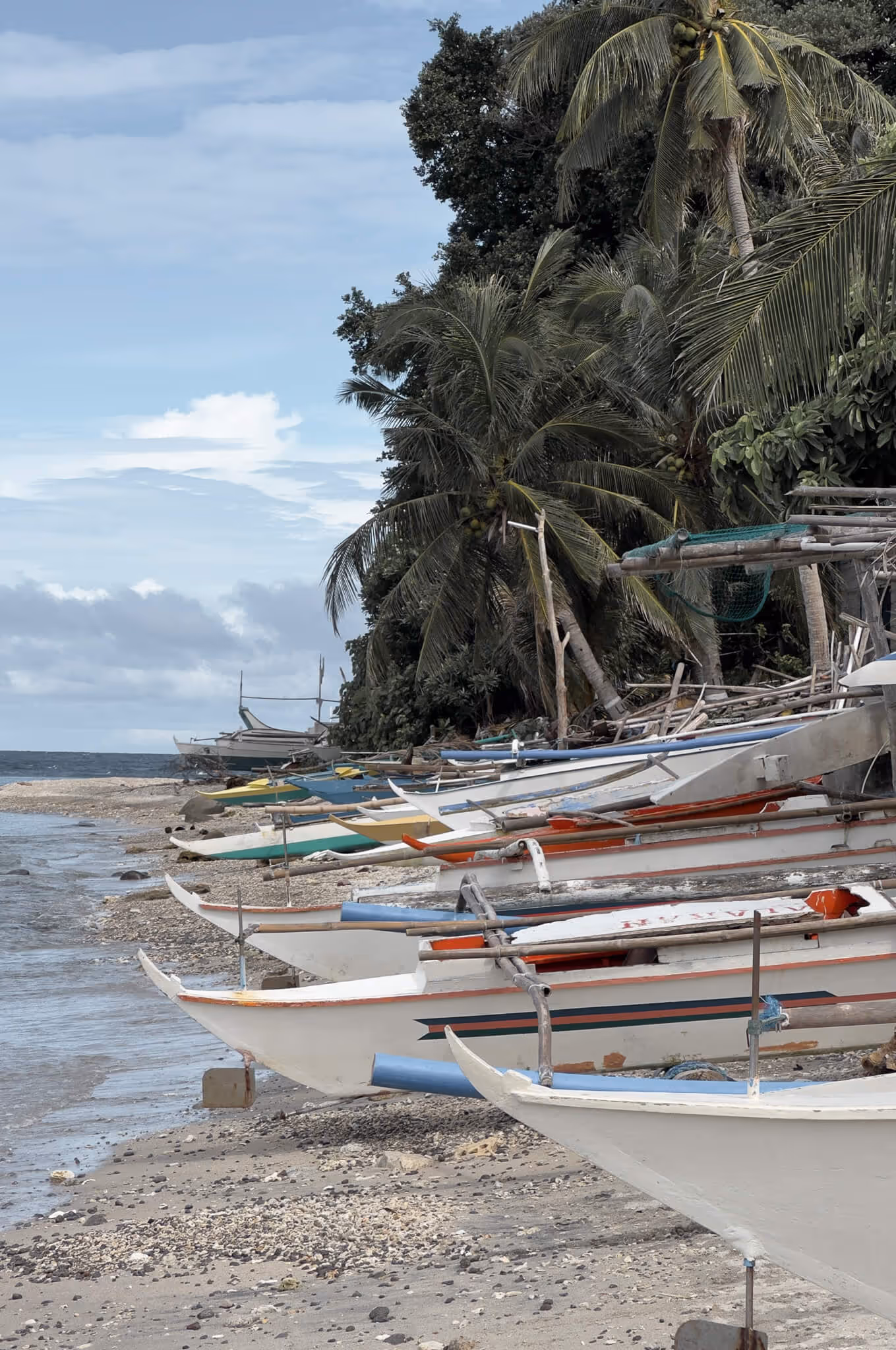Row of white fishing boats on a beach lined by palm trees under a partly cloudy sky.