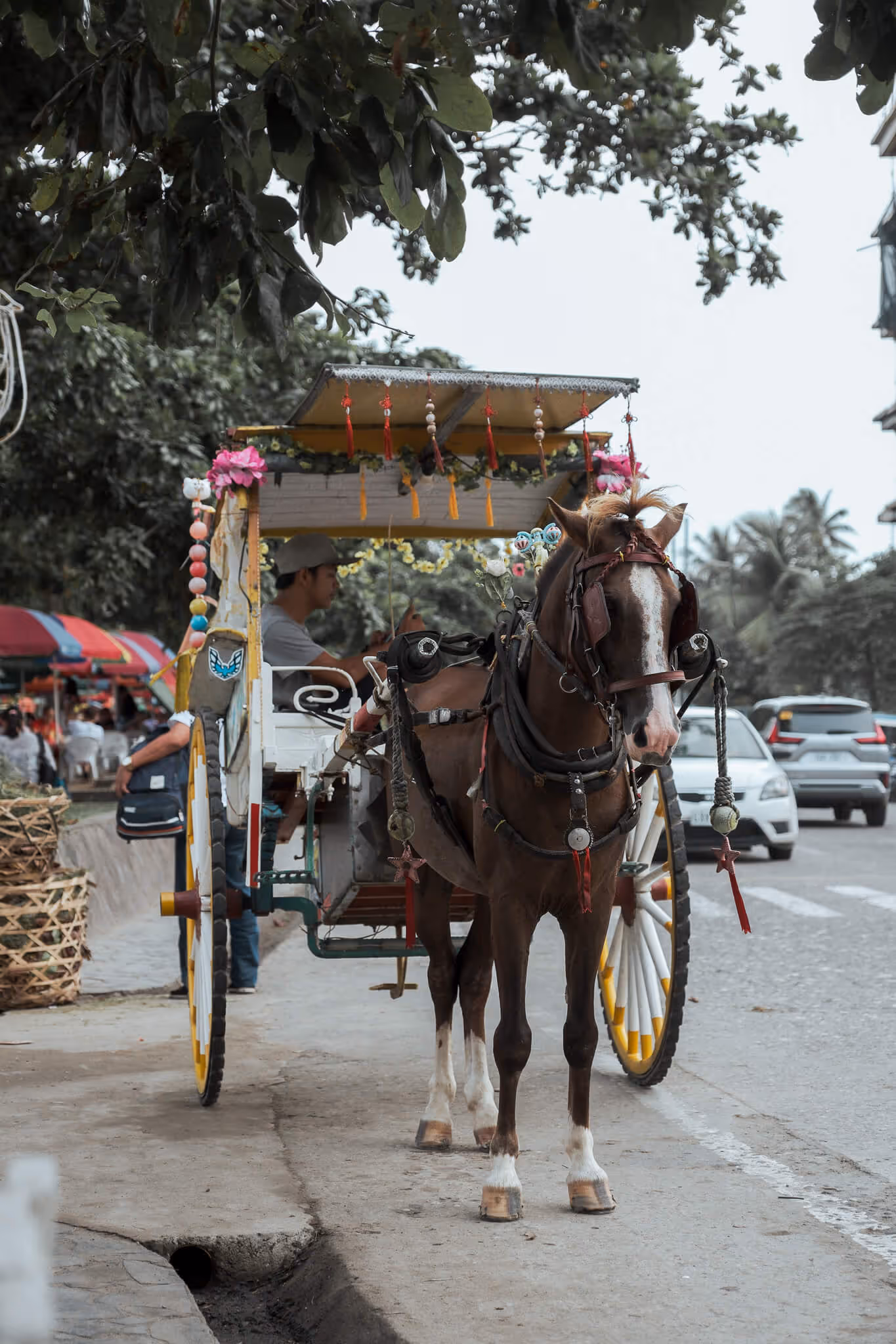 Brown horse harnessed to a decorated carriage with driver sitting under a canopy on a street.