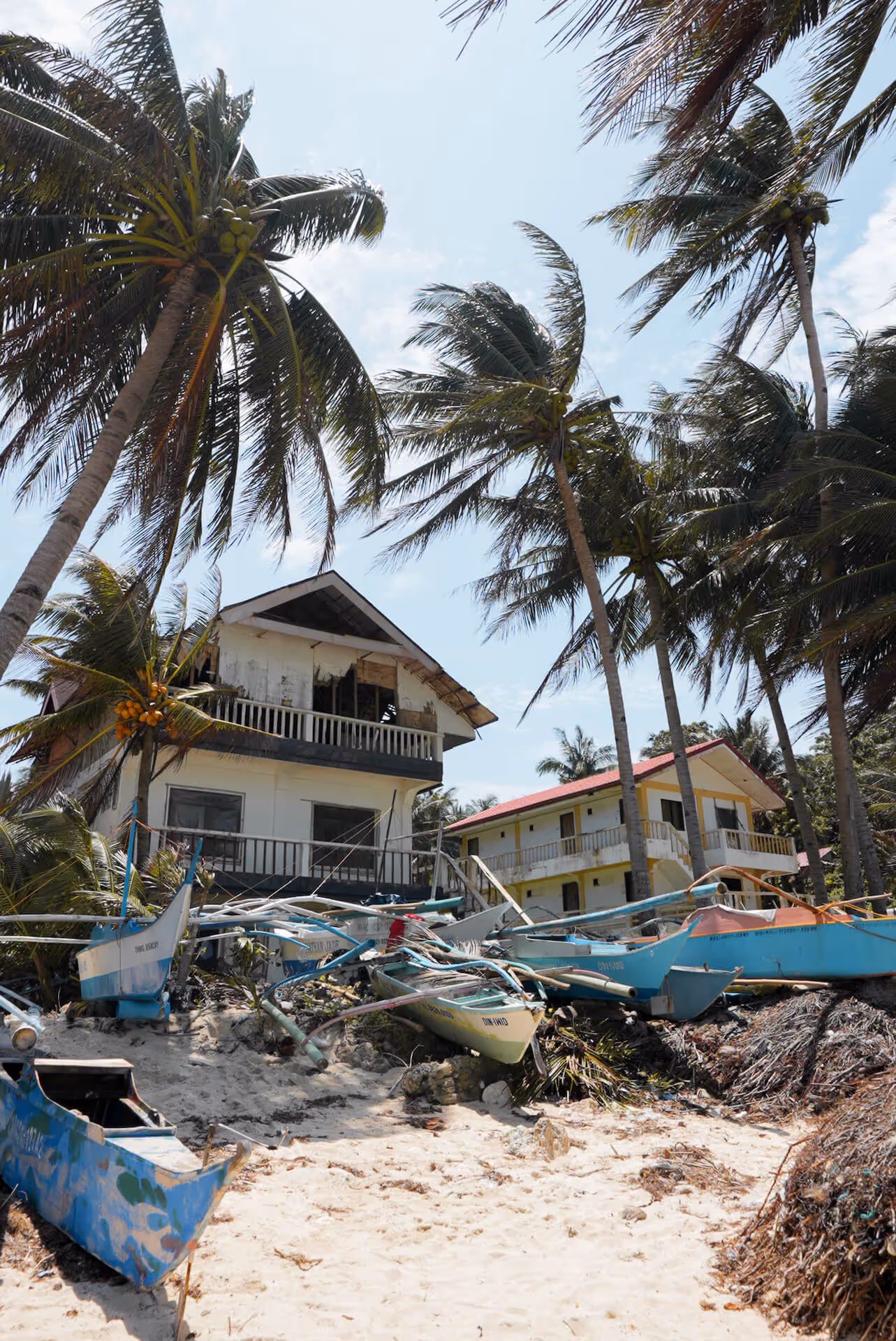 Abandoned wooden boats on sandy shore near weathered houses under tall swaying palm trees.