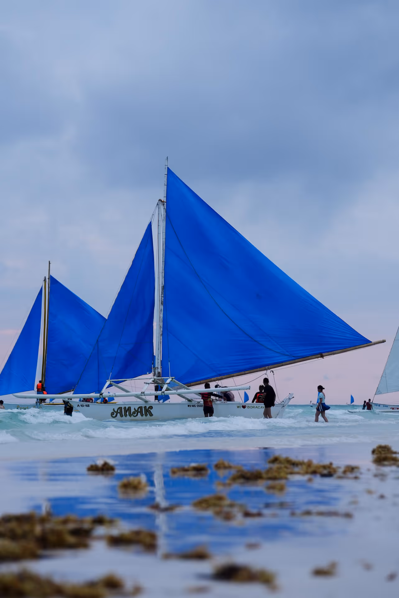 Sailboats with bright blue sails on shallow ocean water with people walking nearby at dusk.