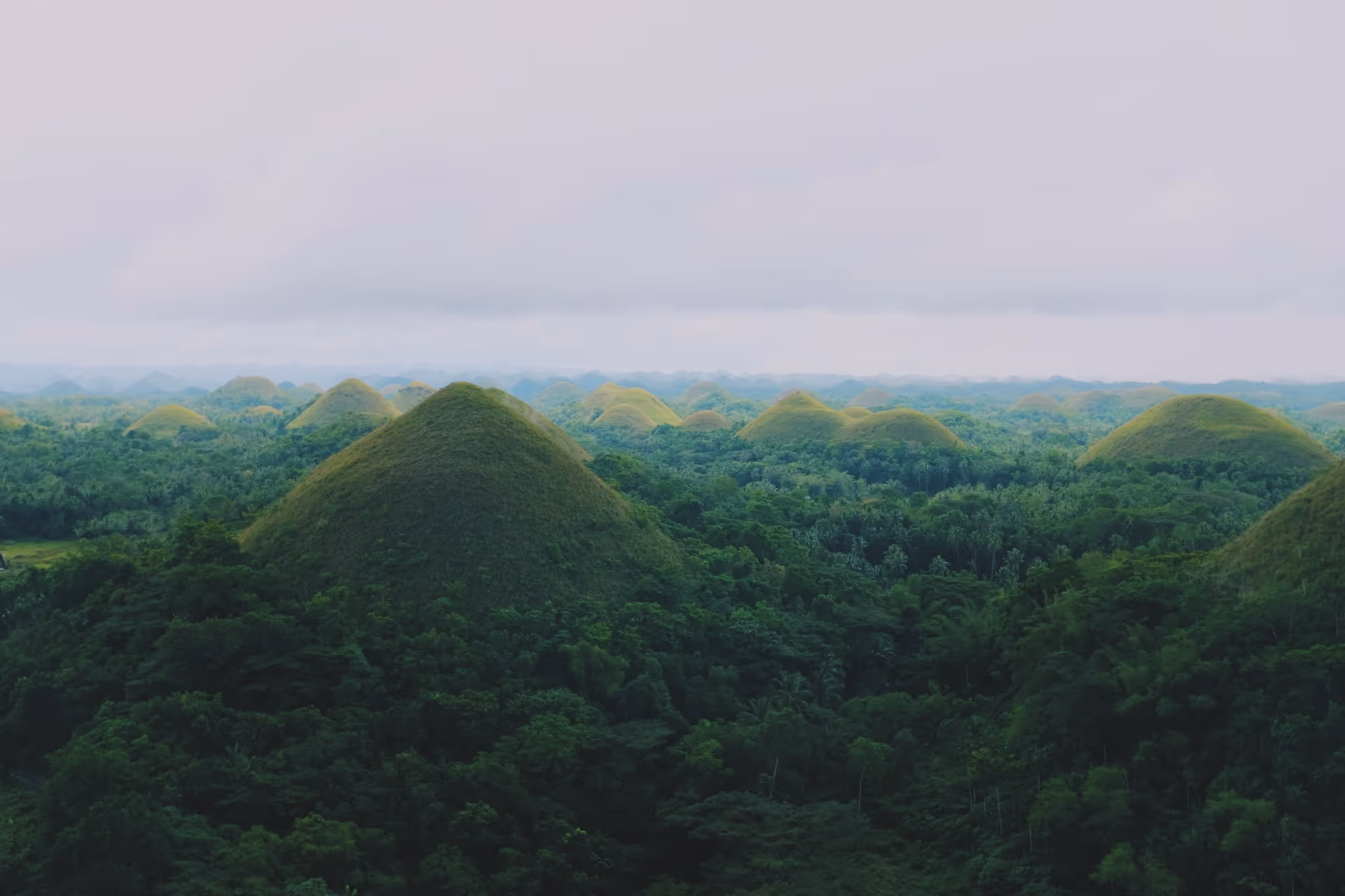 Lush green chocolate hills with forest below under an overcast sky.