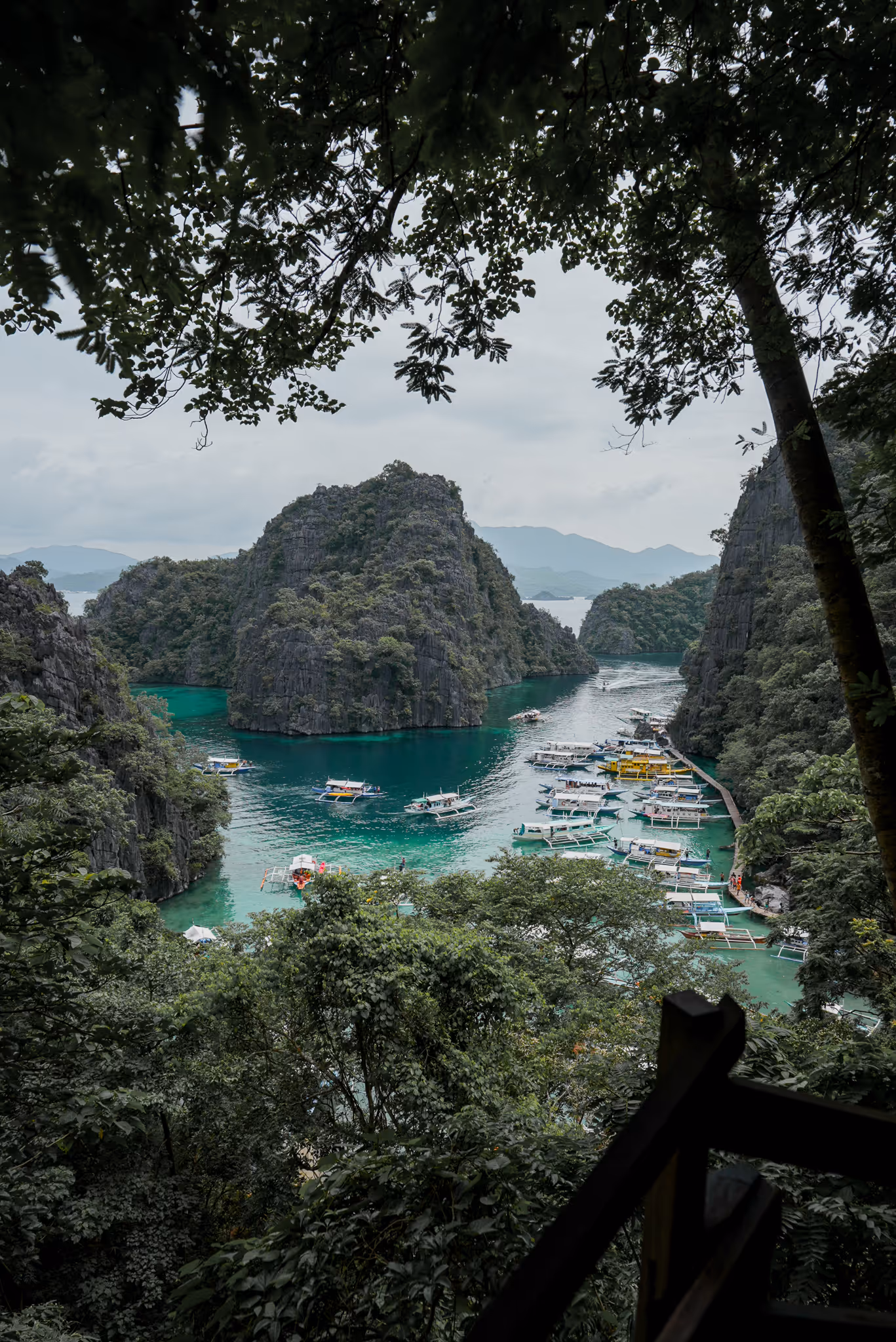 Turquoise lagoon with boats surrounded by steep limestone cliffs and lush green foliage.