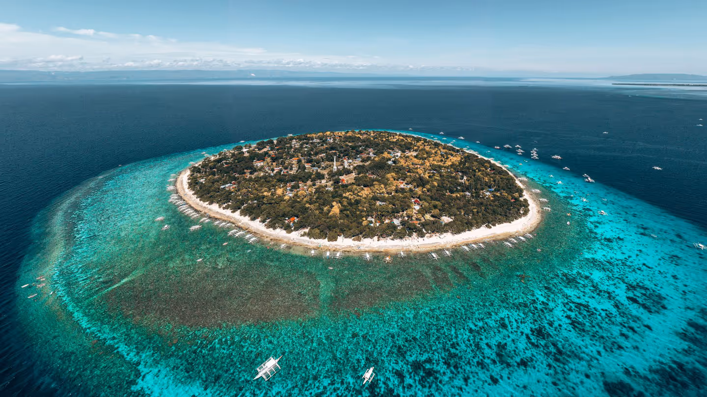 Balicasag Island and Virgin Island