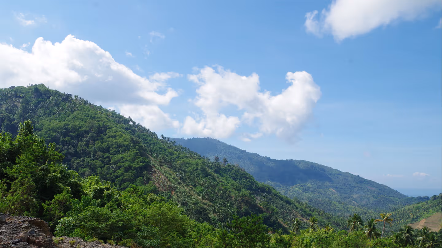 Mount Hamiguitan Range Wildlife Sanctuary