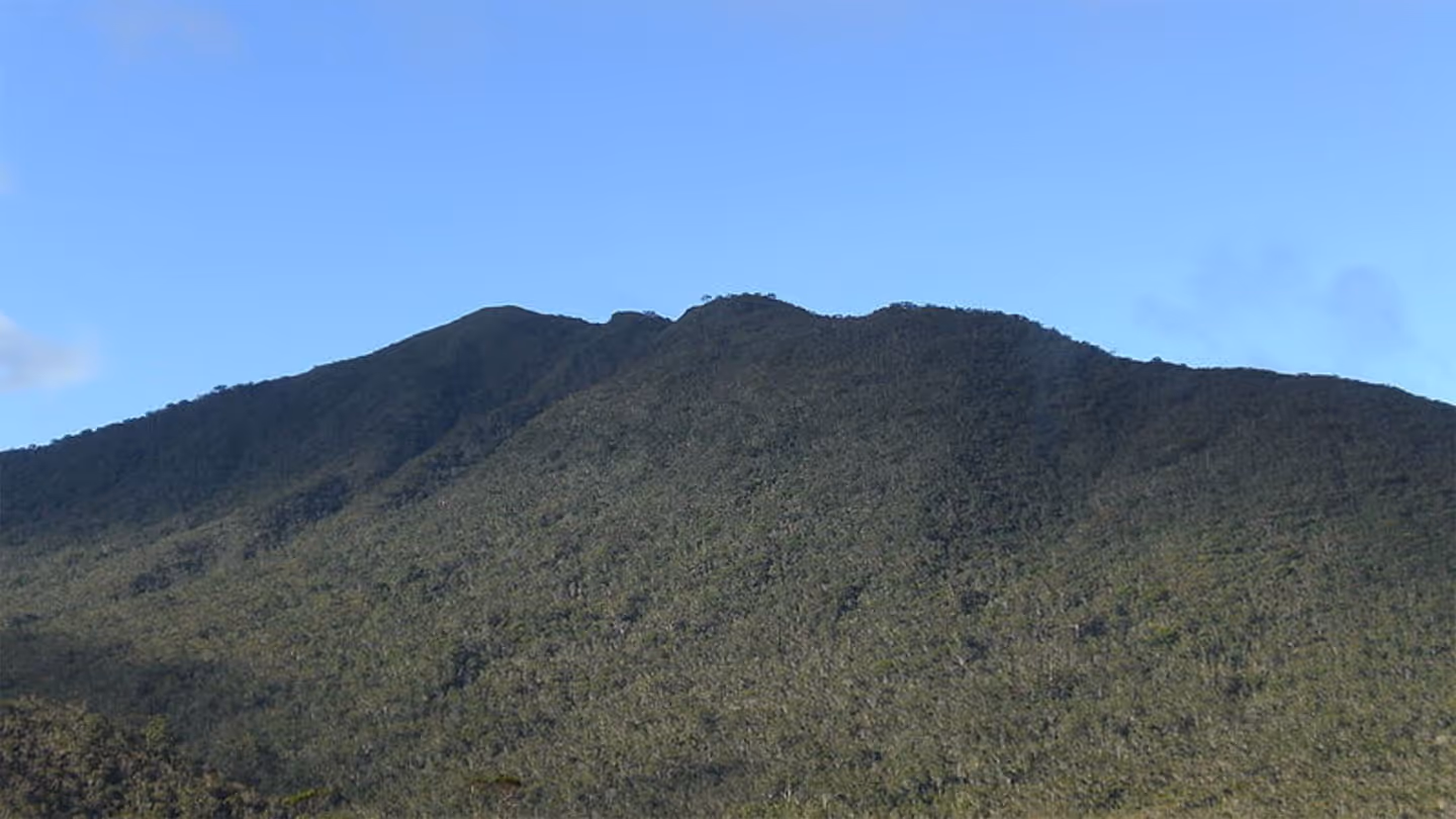 Mount Hamiguitan Range Wildlife Sanctuary