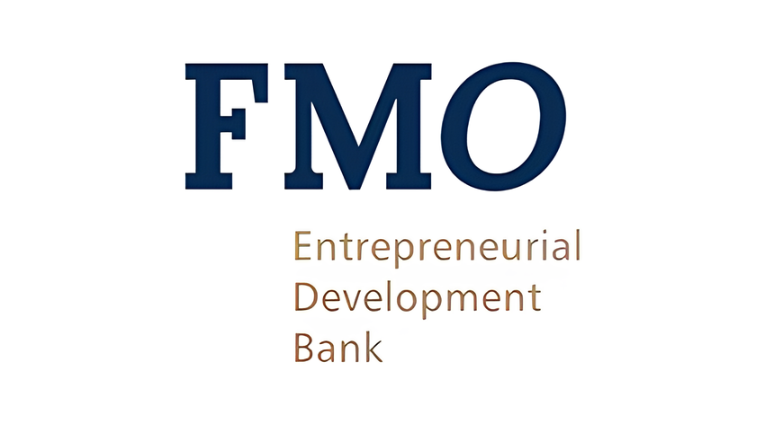 Logo with large dark blue letters 'FMO' above smaller gold text reading 'Entrepreneurial Development Bank'.