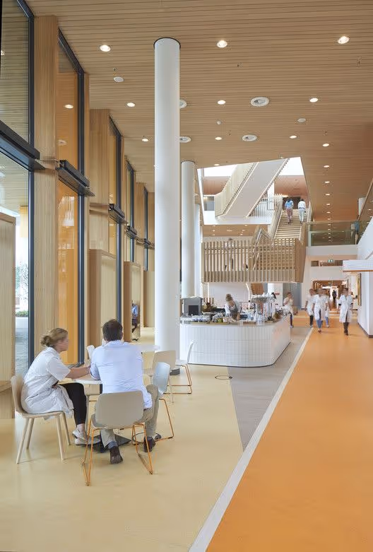 Modern hospital lobby with large windows, wooden ceiling, white columns, people sitting at tables, and medical staff walking.