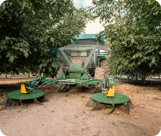 The harvesting process at the La Bodeguita Farm