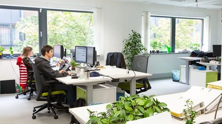 WordPress Onderhoud