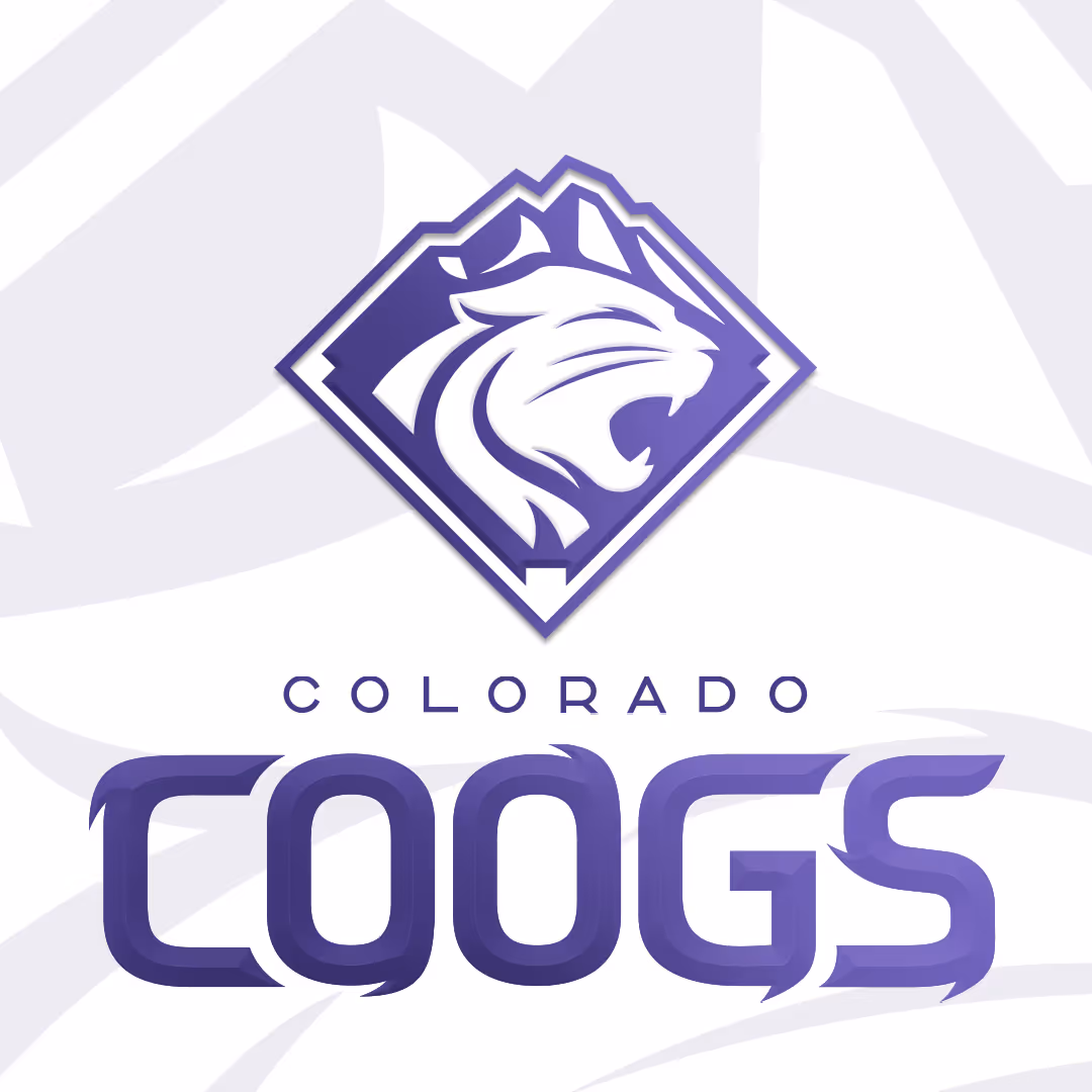 This image is a link that takes you to the logo design process for Falcon Foundations logo