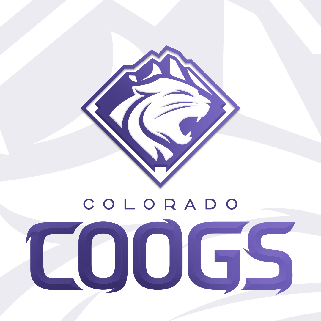 all in one logo image