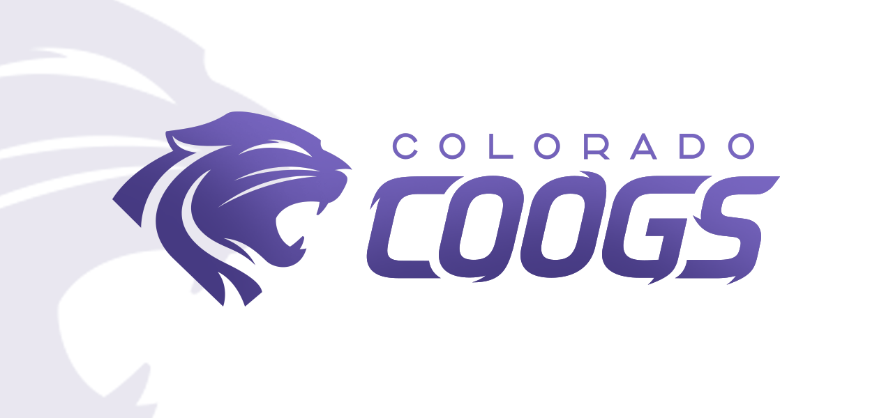 image of all in one sketches