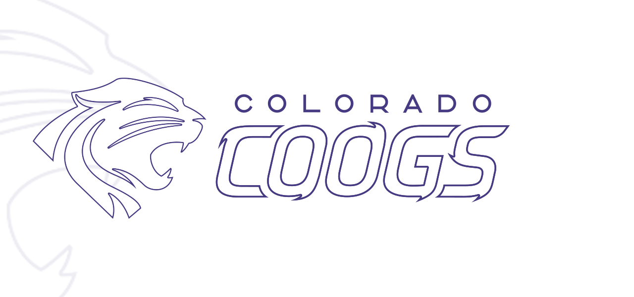 image of all in one sketches