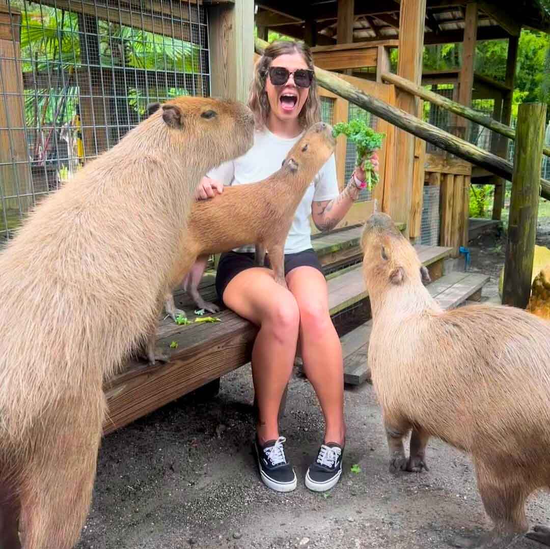 Woman smiling and feeding capybaras at Wild Florida Gator Park near Orlando.