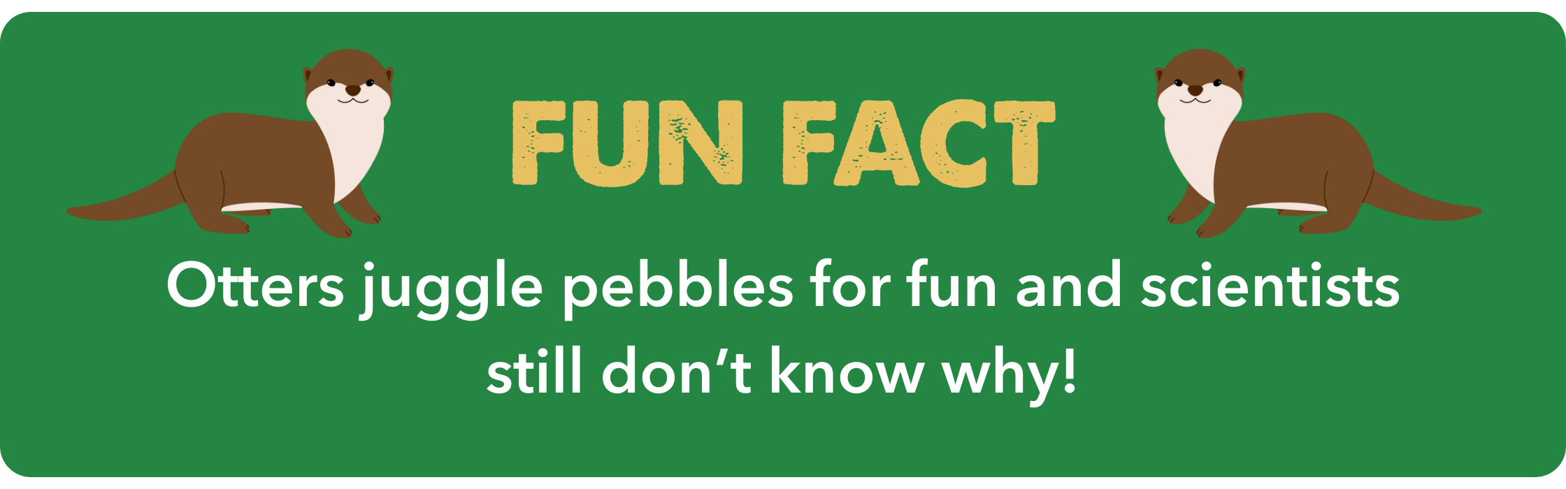 Asian small-clawed otter with wet fur holding its front paws together in the water.