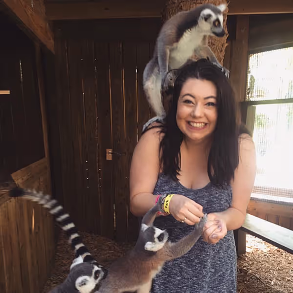 Guest laughing as ring-tailed lemurs climb on her arms and shoulders during an animal encounter at Wild Florida.