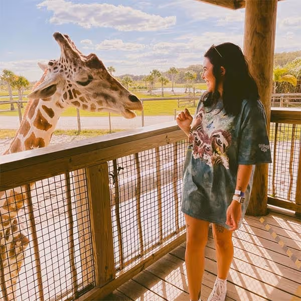 Guest smiling at reticulated giraffe from the giraffe feeding platform at Wild Florida Adventure Park.
