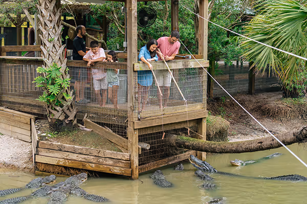 A family stands on a wooden platform at Wild Florida’s Gator Park, feeding alligators in the water below during an interactive experience.