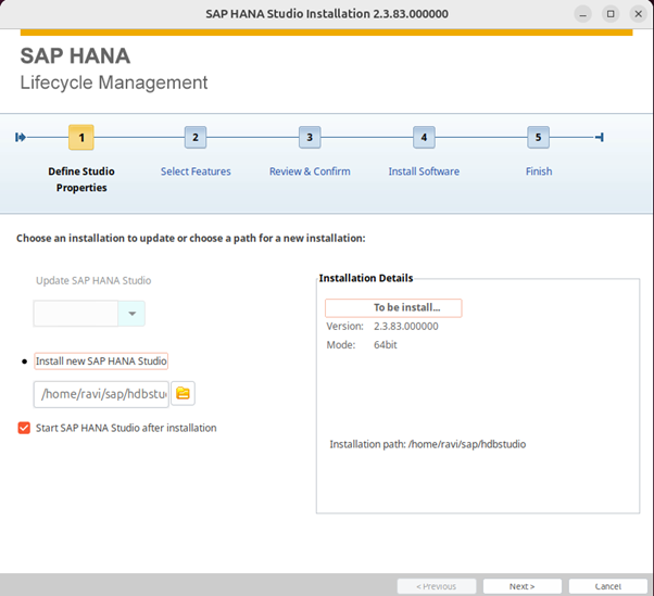 Download and Install SAP GUI on Windows - Connection parameters