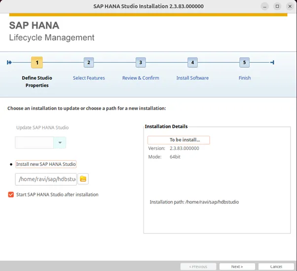 Download and Install SAP GUI on Windows - Connection parameters