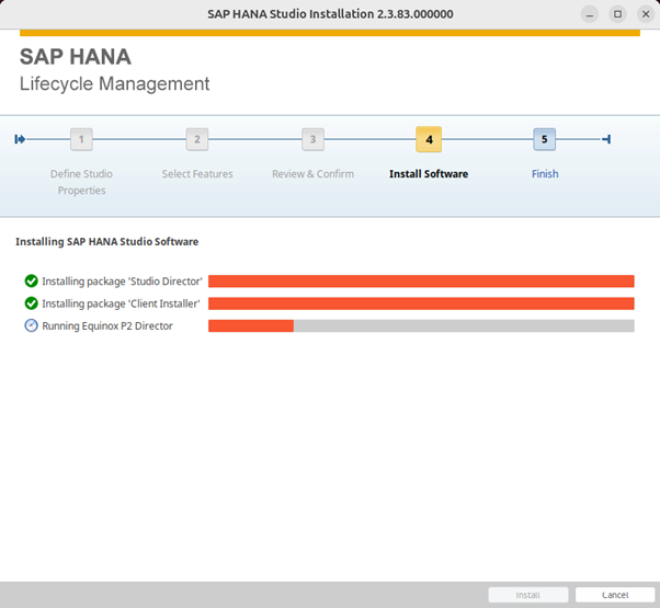 Download and Install SAP GUI on Windows - Connection parameters