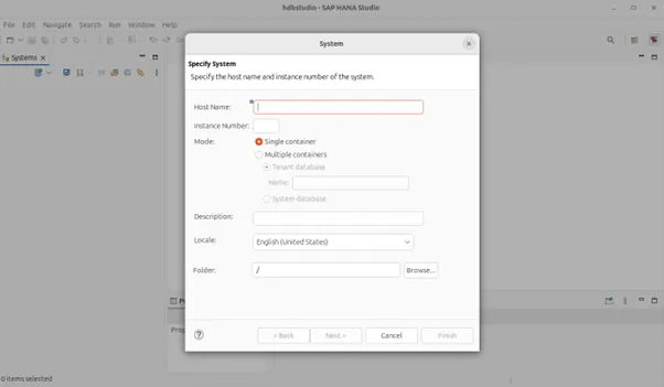 Download and Install SAP GUI on Windows - Connection parameters