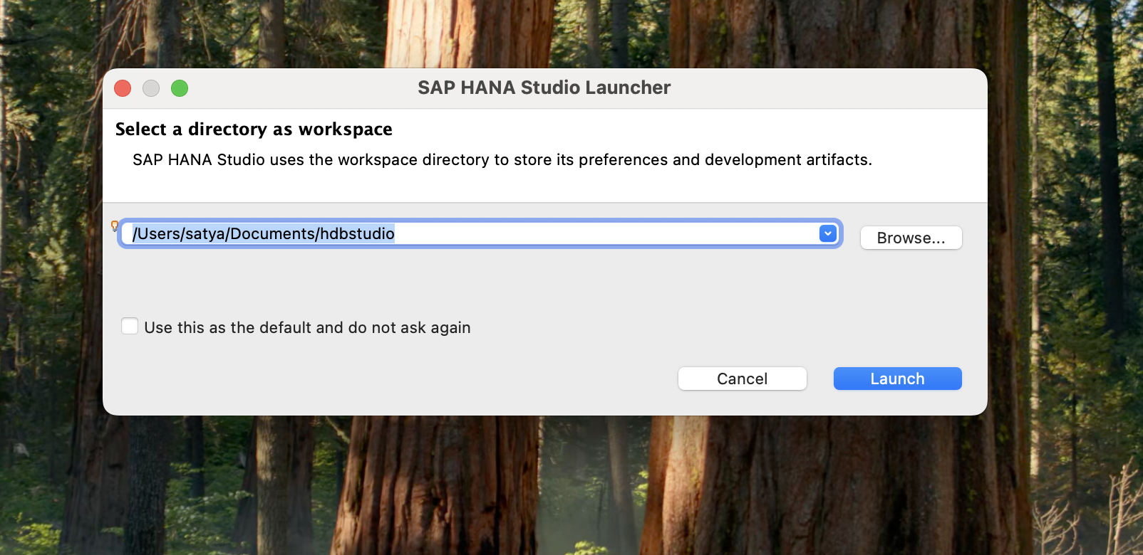 Download and Install SAP GUI on Windows - Connection parameters