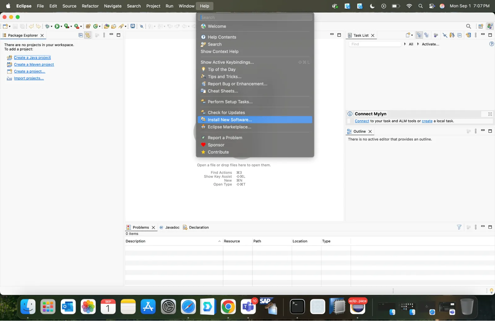 Download and Install SAP GUI on Windows - Connection parameters