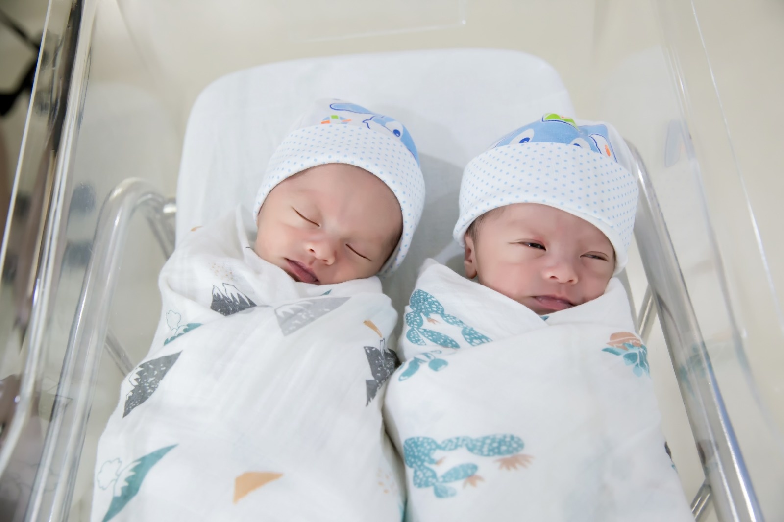 What Is Normal and What Is Not During Infancy in Twins?
