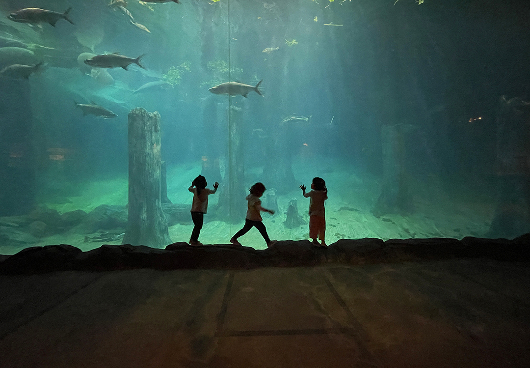 Raising Triplet Girls Who Look the Same but Are Entirely Different