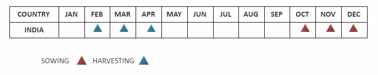 Commodity Trading - Seasonality