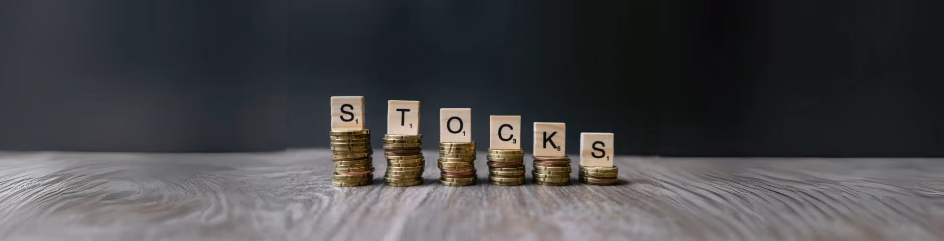 Tips for Equity Investment: Essential Stock Market Basics for Beginners
