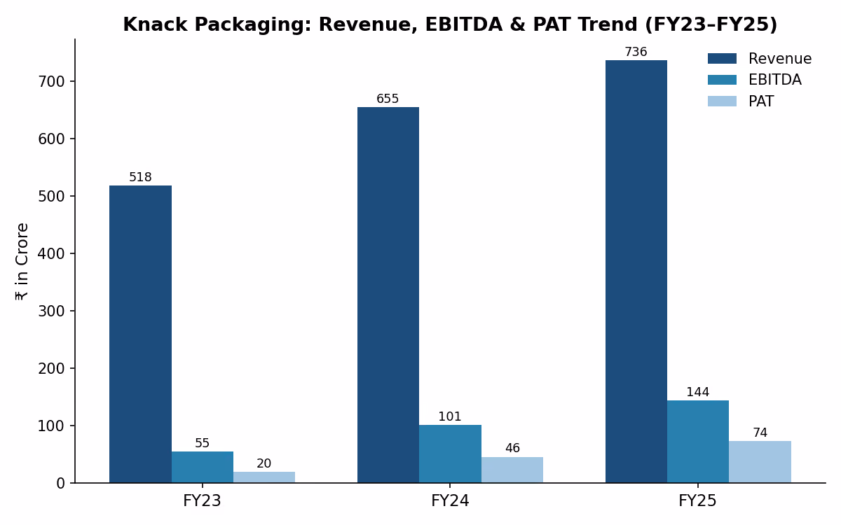 Knack Packaging Financial Performance Analysis