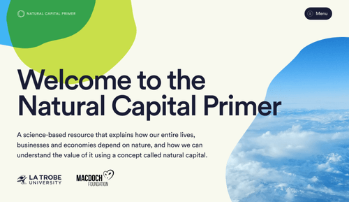 Natural Capital Primer.