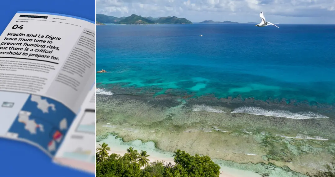 Seychelles Policy Brief
