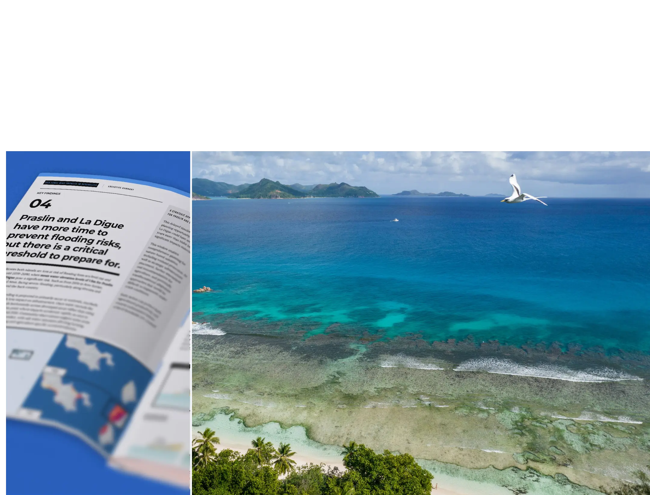 Seychelles Policy Brief