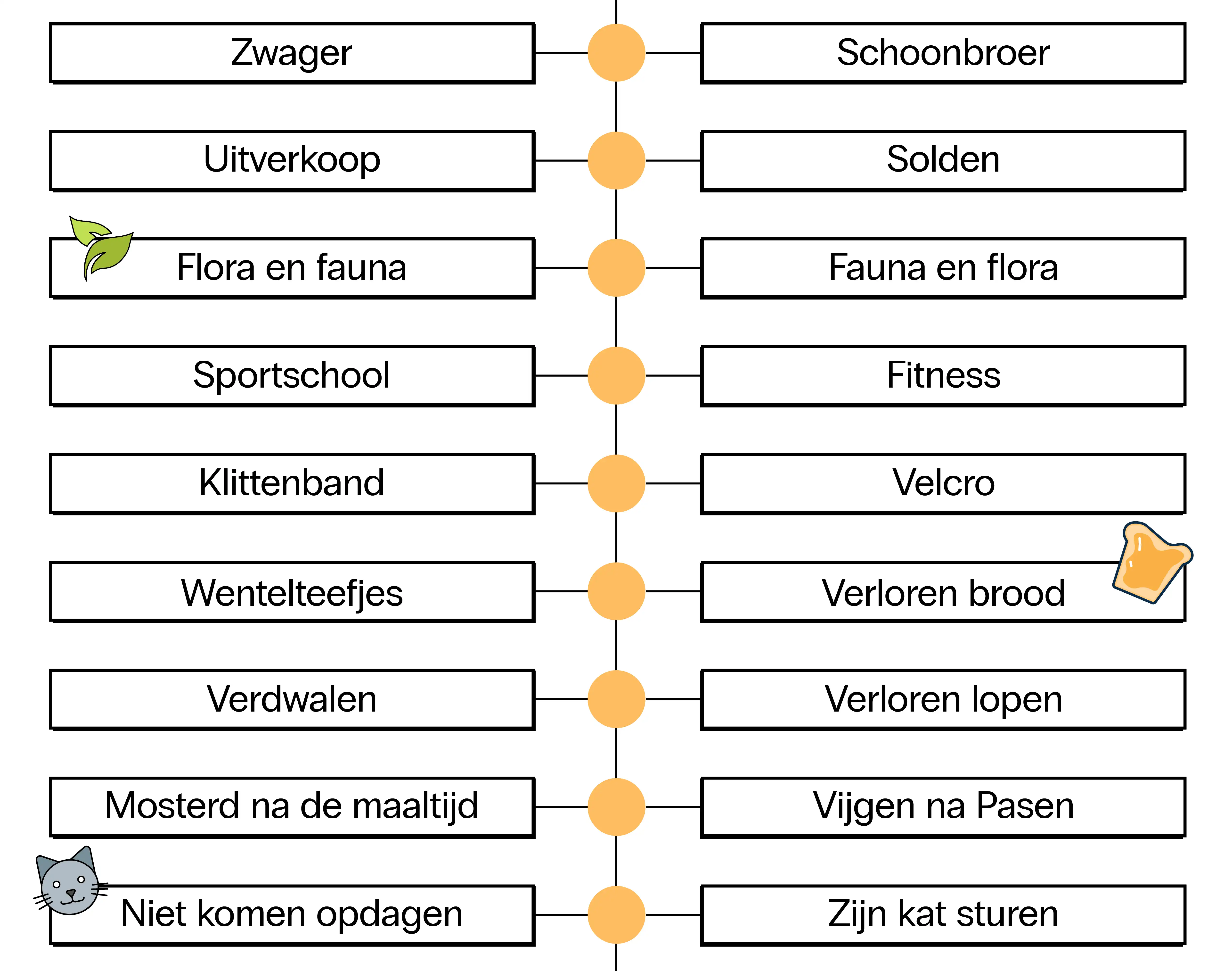 Vergelijkingstabel met Nederlandse woorden aan de linkerkant en hun Vlaamse equivalenten aan de rechterkant, met verschillen zoals ‘Zwager’ versus ‘Schoonbroer’ en ‘Uitverkoop’ versus ‘solden’ en ‘flora en fauna’ versus ‘fauna en flora’.