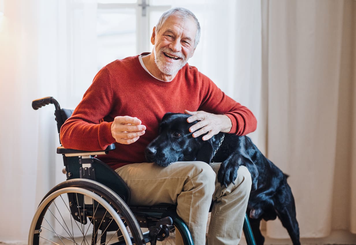 Ein behinderter senior im Rollstuhl spielt mit einem Hund