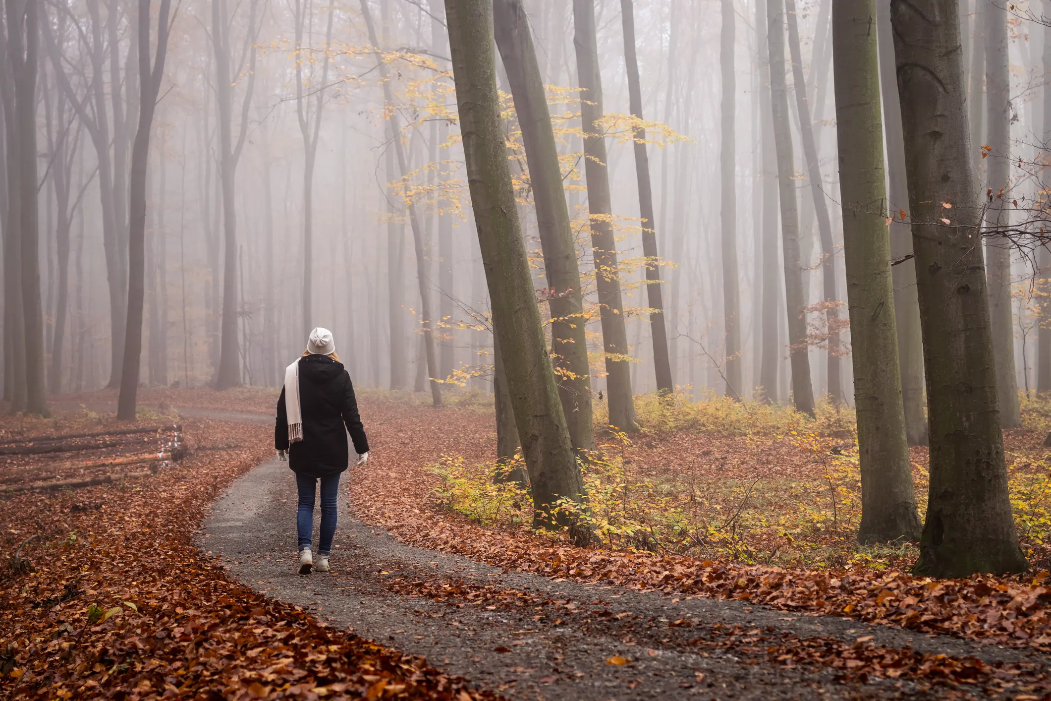 Frau macht einen Spaziergang durch herbstlichen Wald