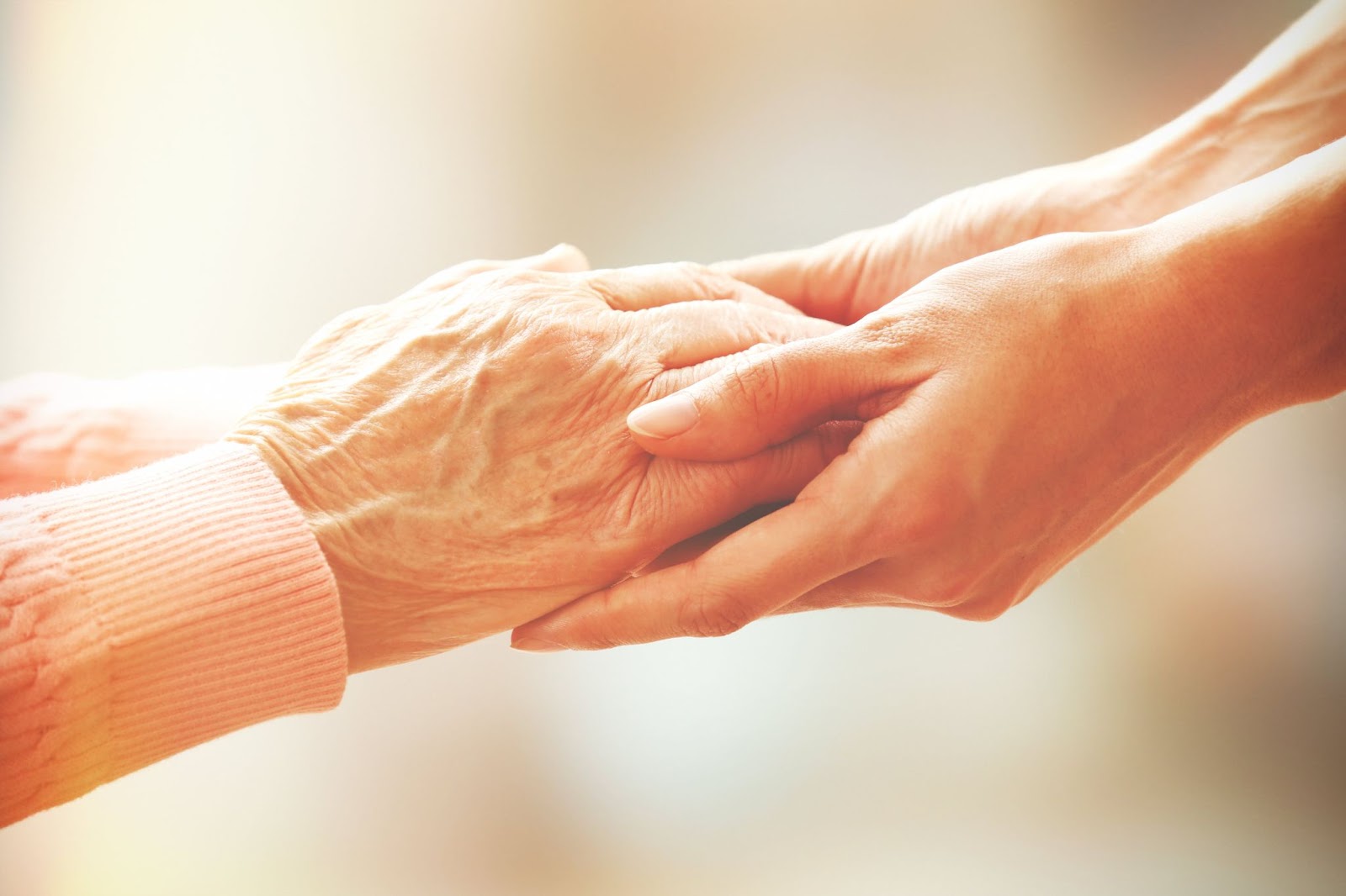 Altenpfleger:ib hält die Hand einer Patient:in