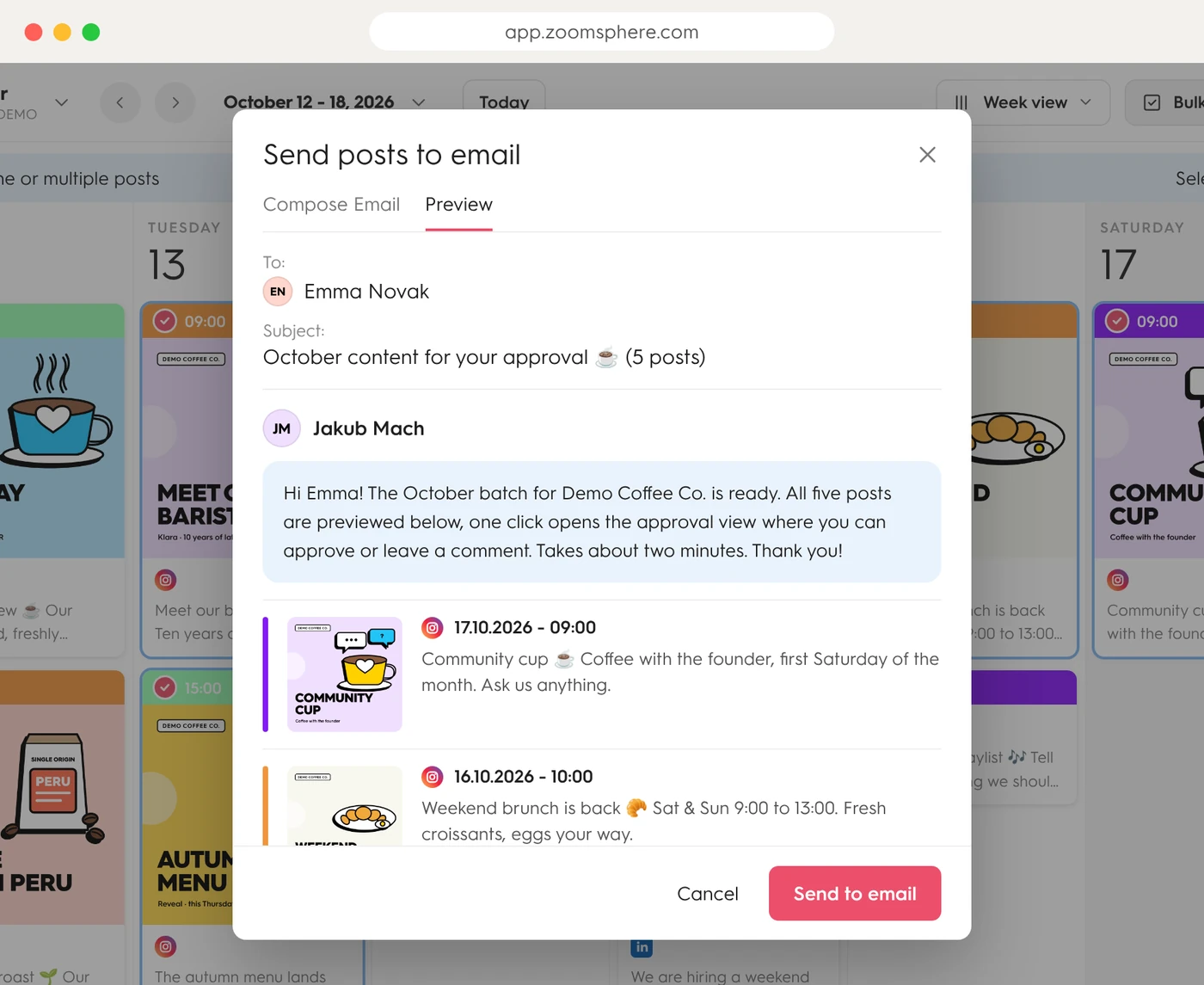 Email preview in ZoomSphere: exactly what the client receives, every post with its status color