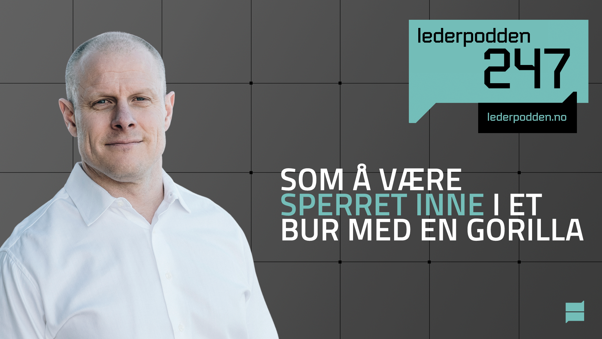 Som å være sperret inne i et bur med en gorilla