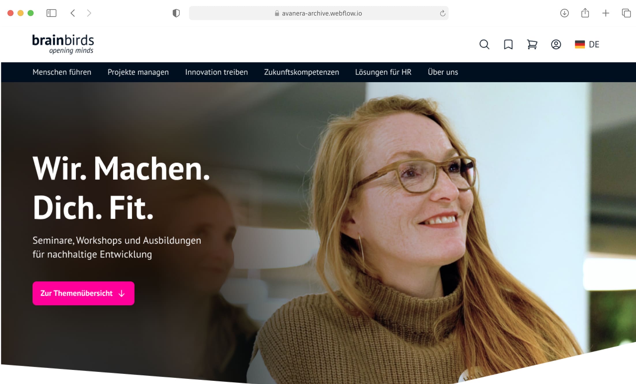 Preview brainbirds website