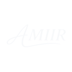 Logo for AMIIR