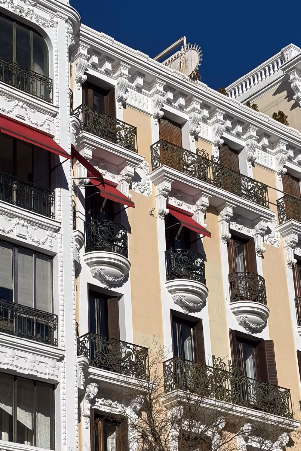 José Ortega y Gasset | Milla de Oro