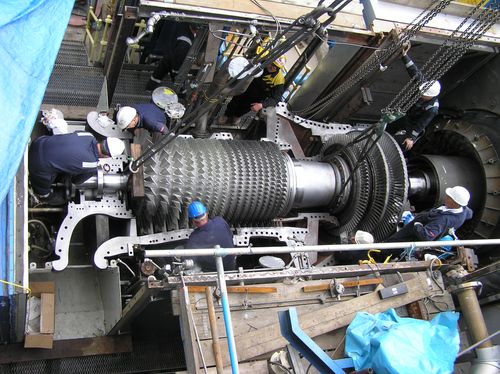 Expert Witness Services