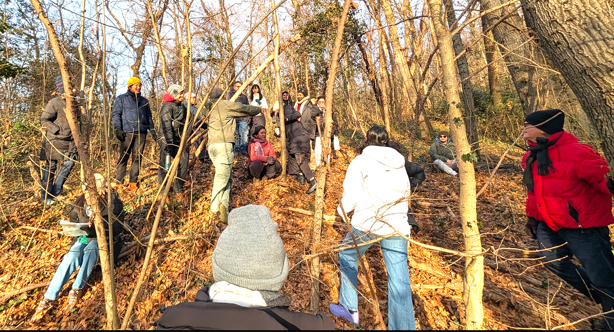 Design Across Biological Scales